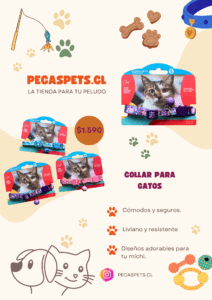 copia de copia de copia de copia de copia de copia de flyer servicios de veterinaria moderno beige (1)