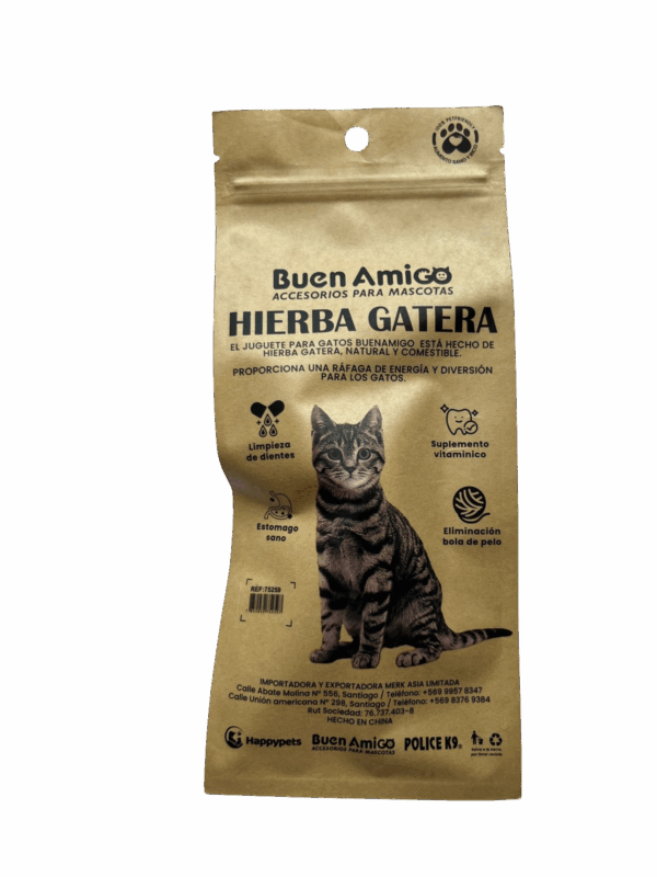 ratoncito de hierba gatera