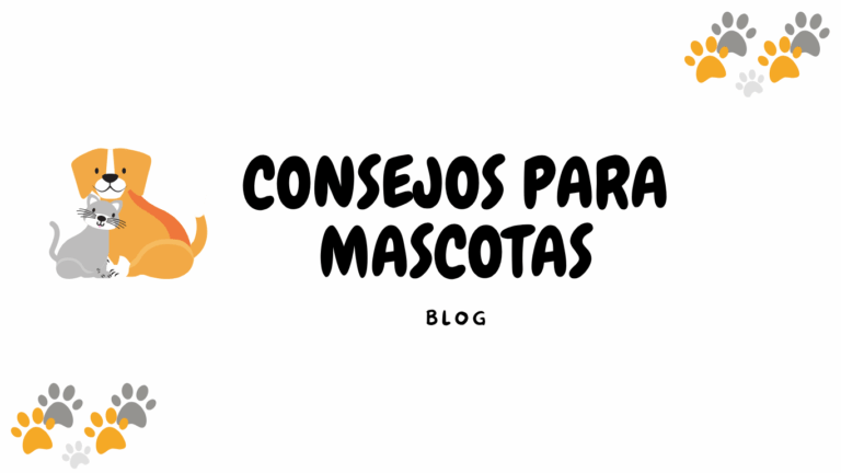 la tienda para tu mascota (3)