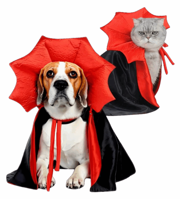 disfraz de drácula para mascotas