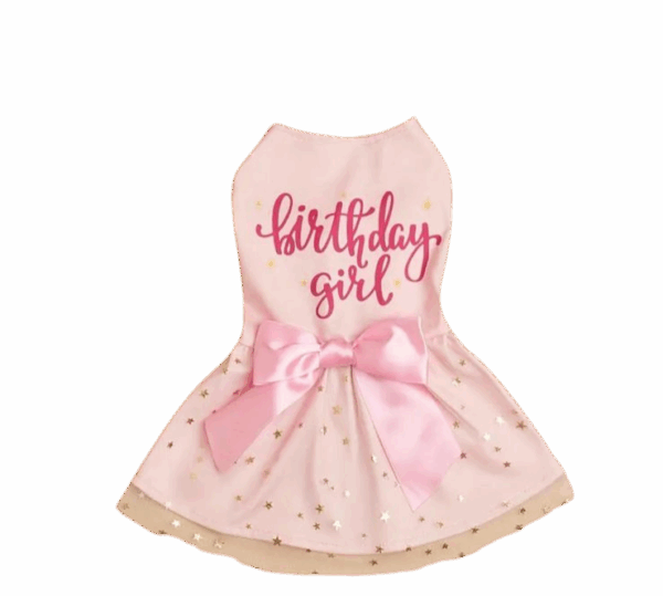vestido rosado "birthday girl" para mascotas
