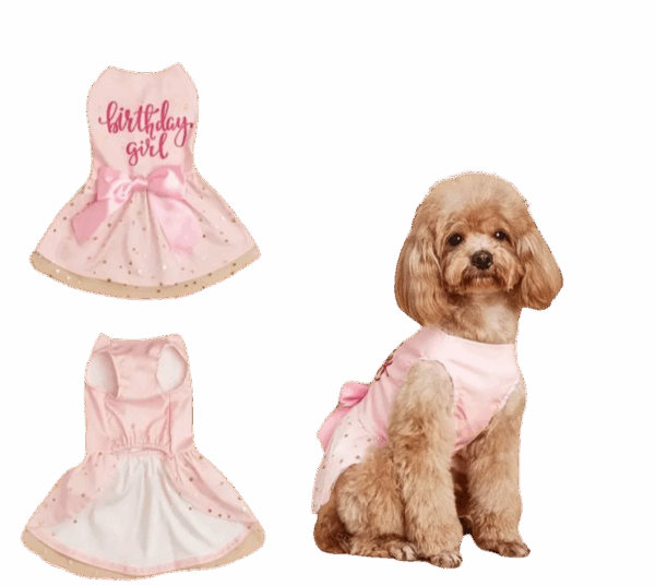 vestido rosado "birthday girl" para mascotas