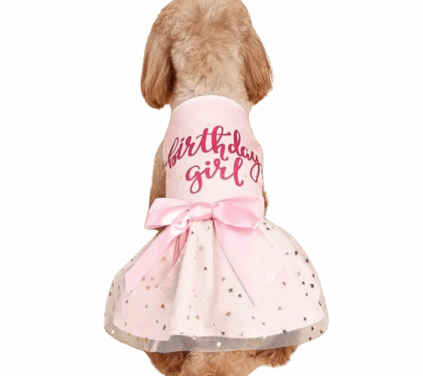 vestido rosado "birthday girl" para mascotas