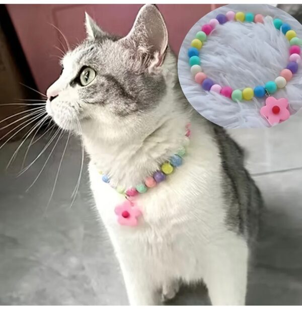 🐾 collar de cuencas
