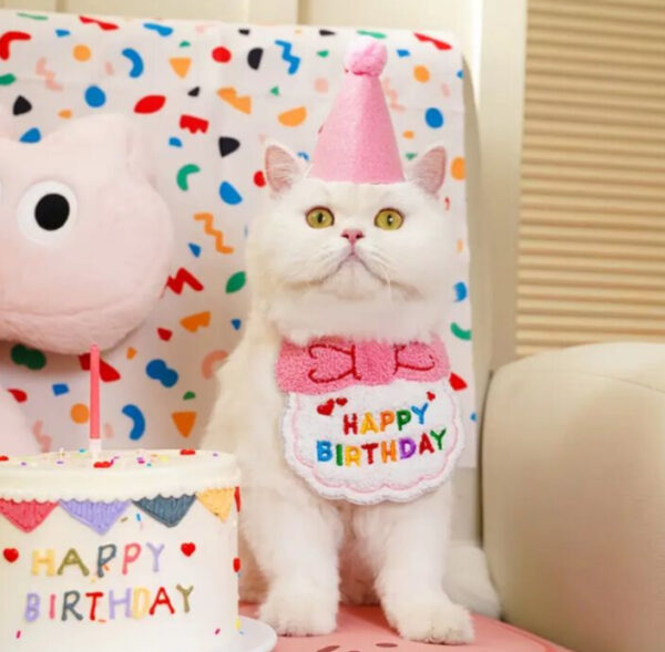 kit de compleaños