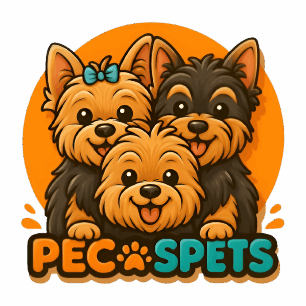 sin título removebg preview