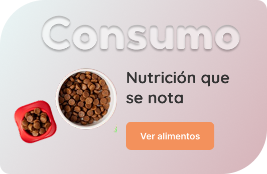 botón 3